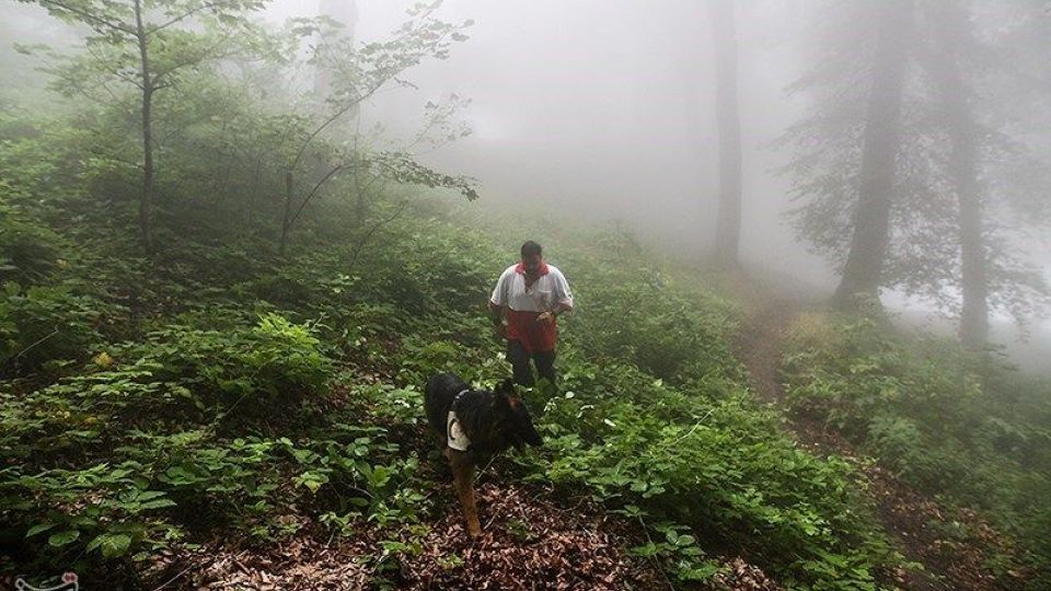 عملیات جستجو برای یافتن دختر گمشده عملیات جستجو برای یافتن دختر گمشده