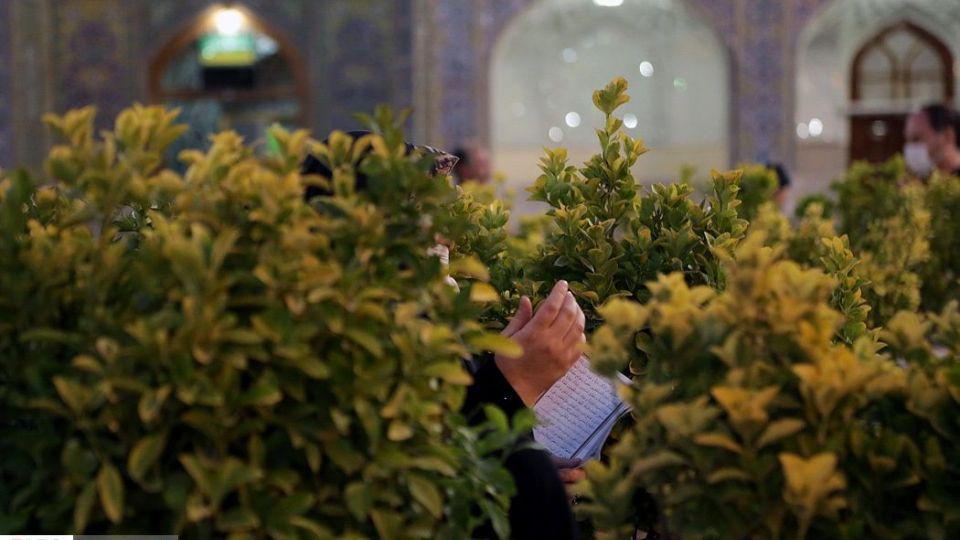 روز زیارتی مخصوص امام رضا علیه السلام