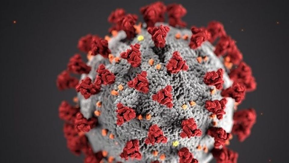 آیا کرونا از طریق غذا و نوشیدنی منتقل میشود؟ آیا کرونا از طریق غذا و نوشیدنی منتقل میشود؟ 