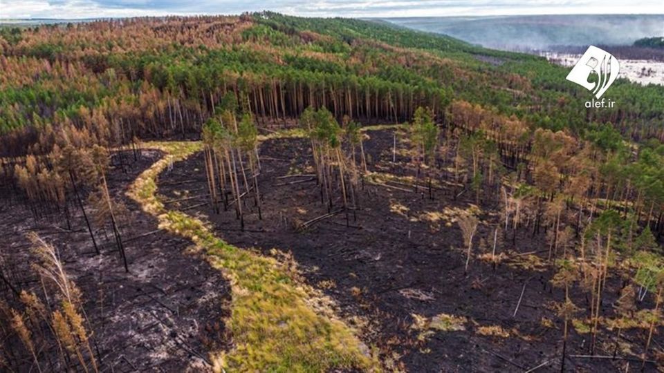 آتش به جان جنگل‌های سیبری افتاد