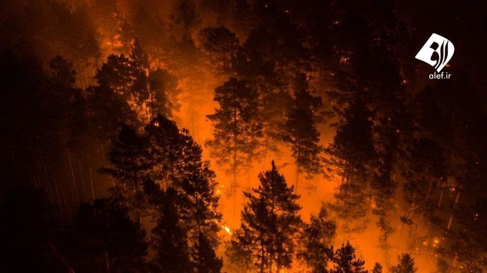 آتش به جان جنگل‌های سیبری افتاد