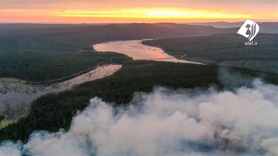 آتش به جان جنگل‌های سیبری افتاد