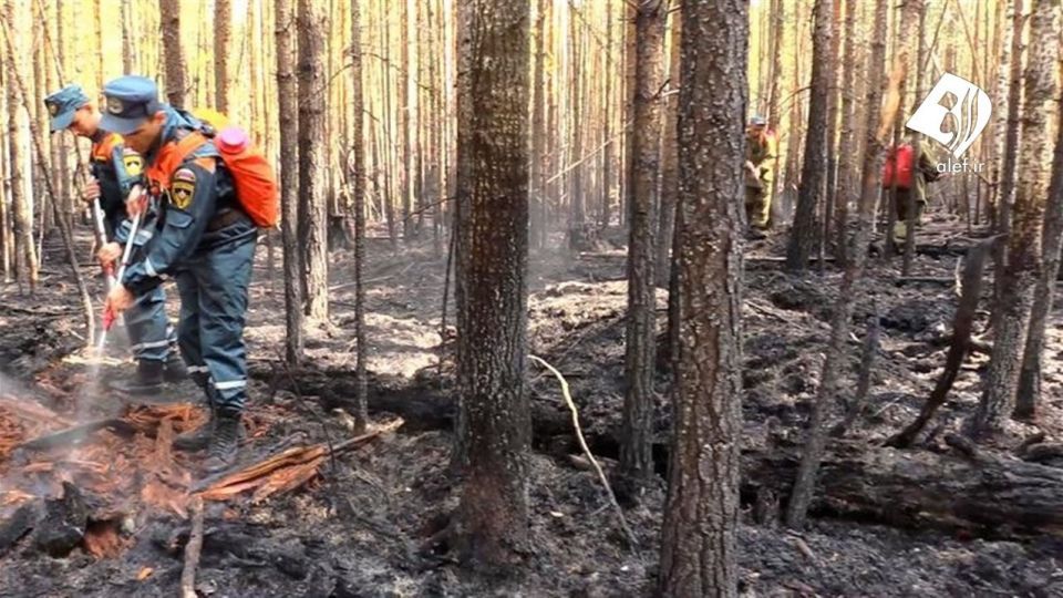 آتش به جان جنگل‌های سیبری افتاد