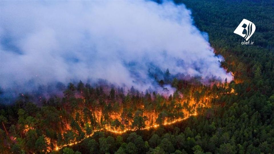 آتش به جان جنگل‌های سیبری افتاد