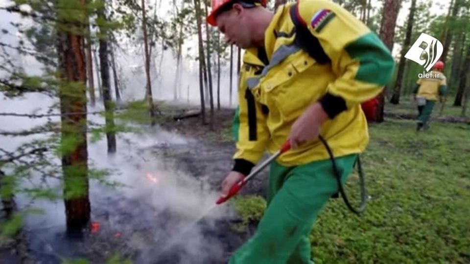 آتش به جان جنگل‌های سیبری افتاد