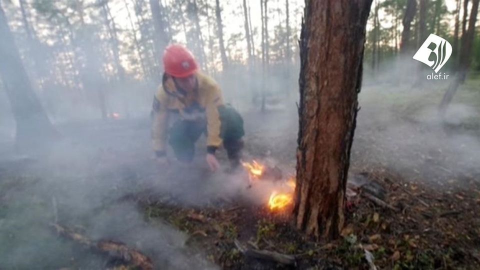 آتش به جان جنگل‌های سیبری افتاد
