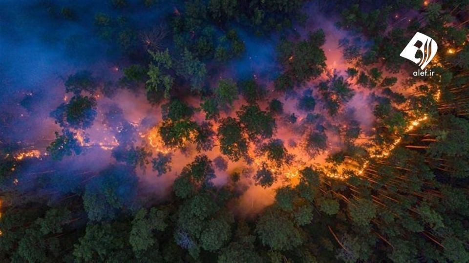 آتش به جان جنگل‌های سیبری افتاد
