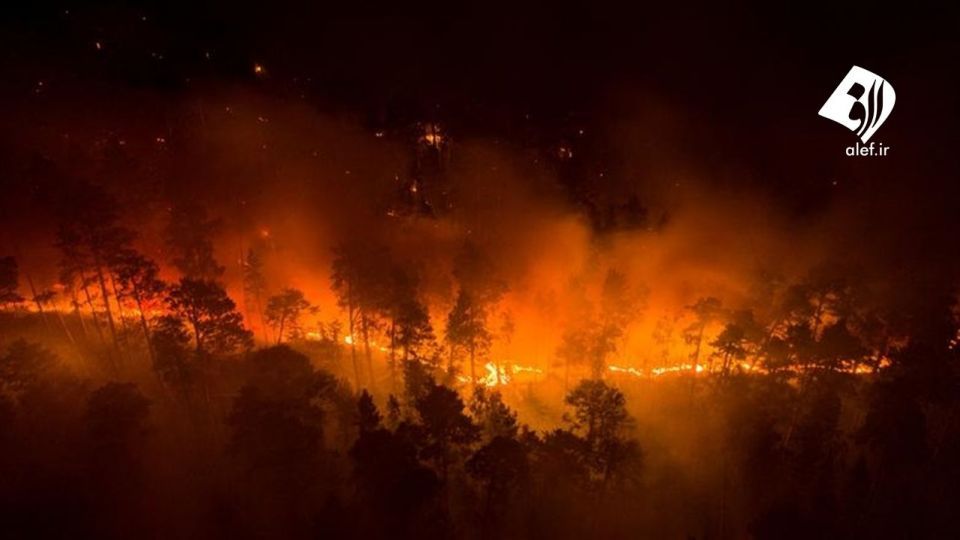 آتش به جان جنگل‌های سیبری افتاد