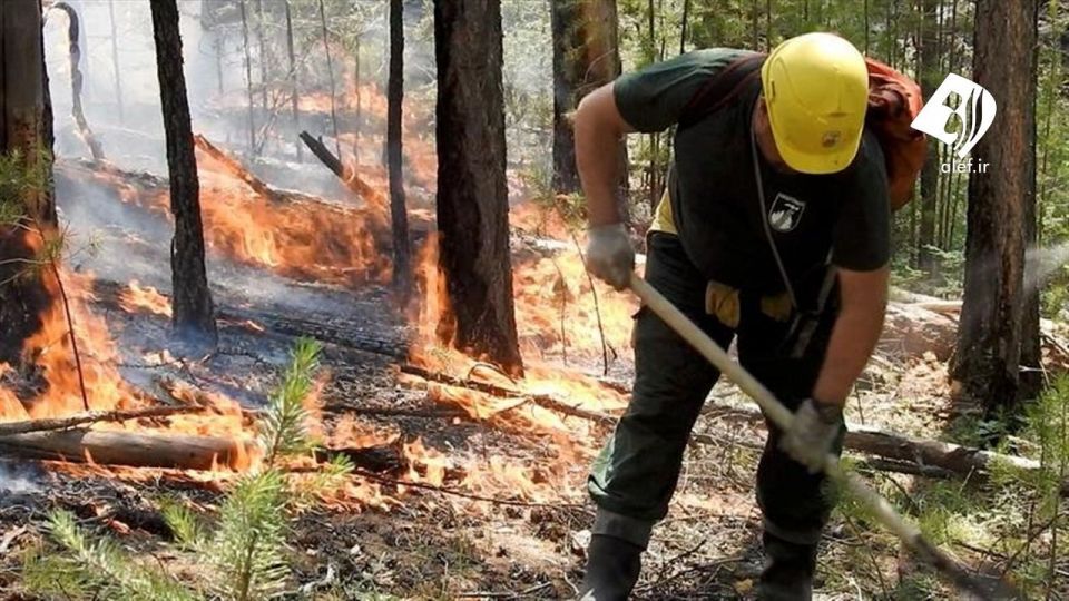 آتش به جان جنگل‌های سیبری افتاد