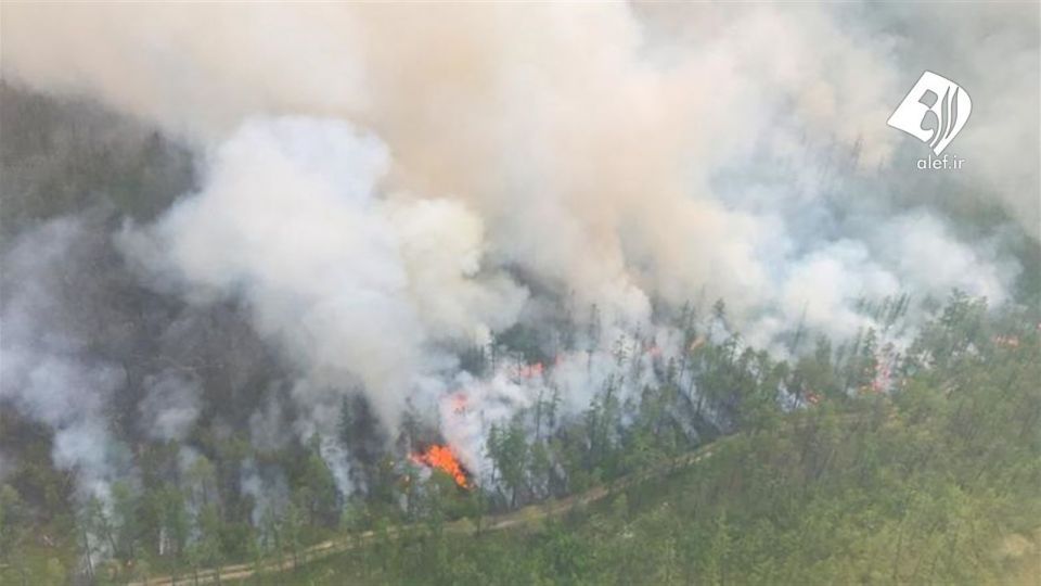 آتش به جان جنگل‌های سیبری افتاد