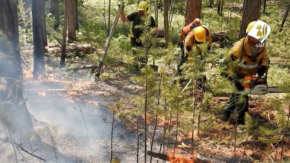 آتش به جان جنگل‌های سیبری افتاد