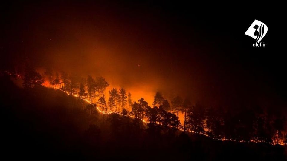 آتش به جان جنگل‌های سیبری افتاد