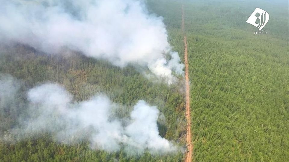 آتش به جان جنگل‌های سیبری افتاد