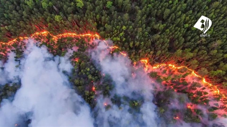آتش به جان جنگل‌های سیبری افتاد