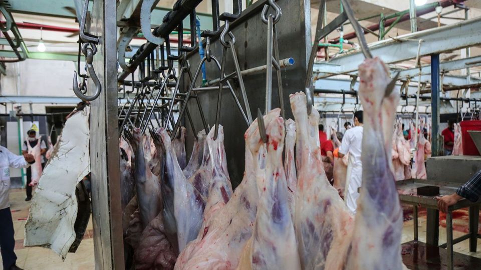 ذبح دام عید قربان در کشتارگاه صنعتی