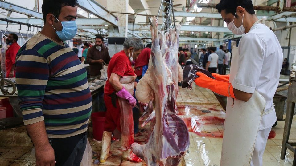 ذبح دام عید قربان در کشتارگاه صنعتی