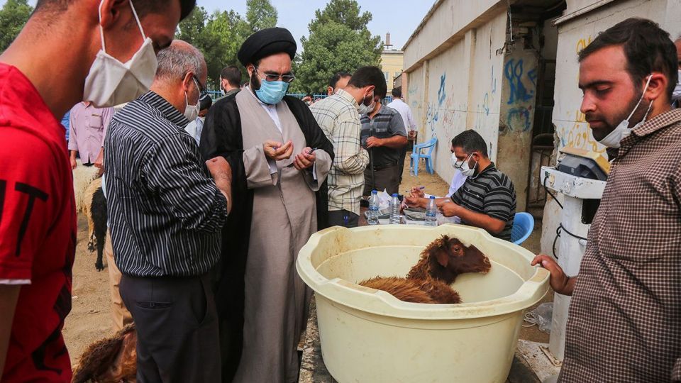 ذبح دام عید قربان در کشتارگاه صنعتی