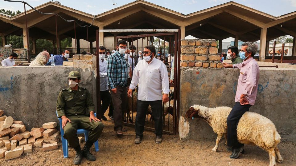 ذبح دام عید قربان در کشتارگاه صنعتی