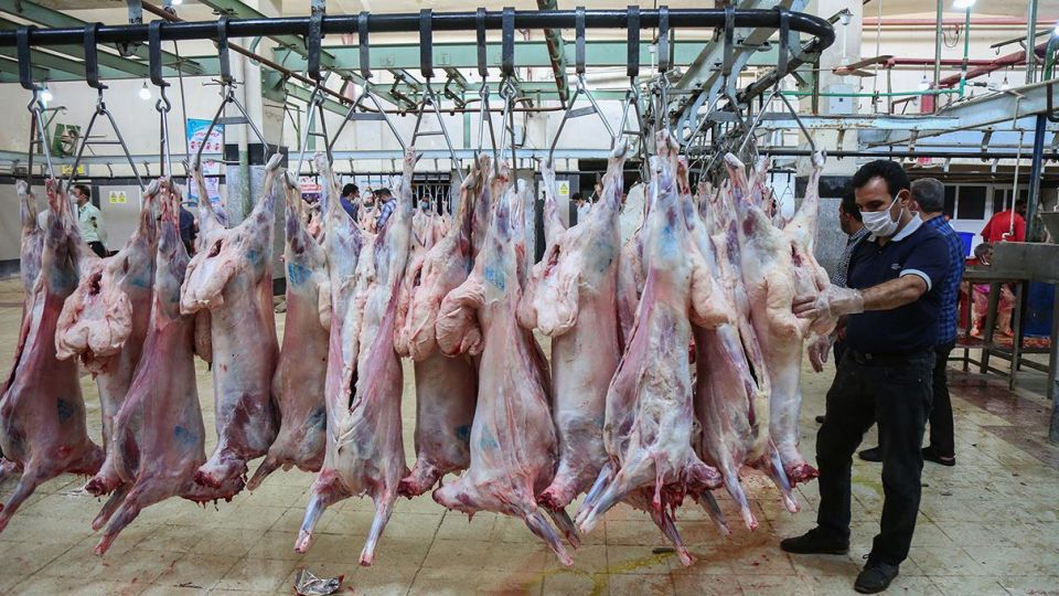 ذبح دام عید قربان در کشتارگاه صنعتی