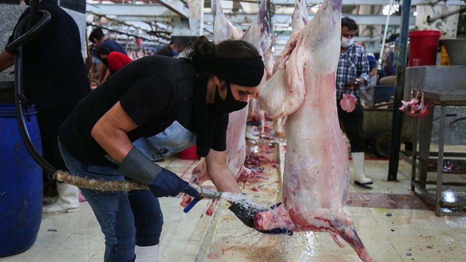 ذبح دام عید قربان در کشتارگاه صنعتی