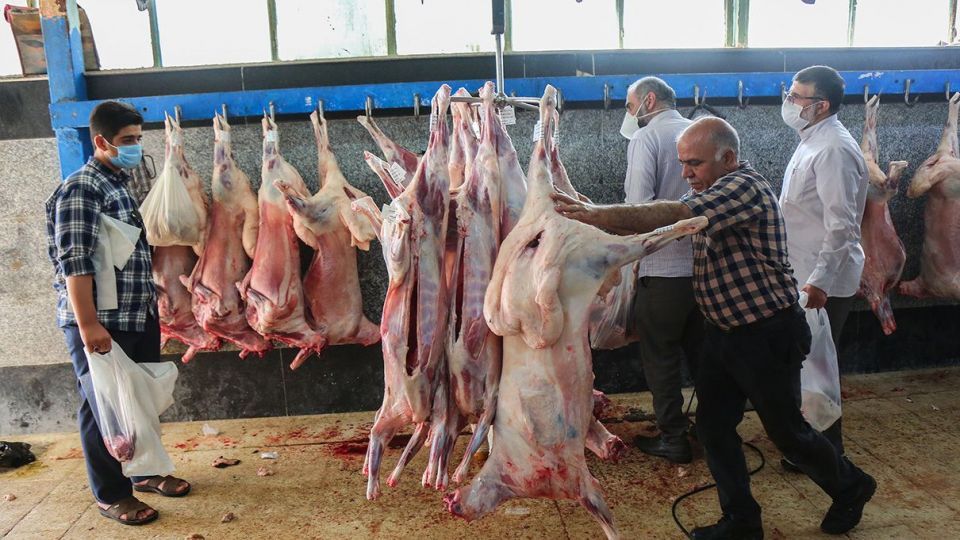 ذبح دام عید قربان در کشتارگاه صنعتی