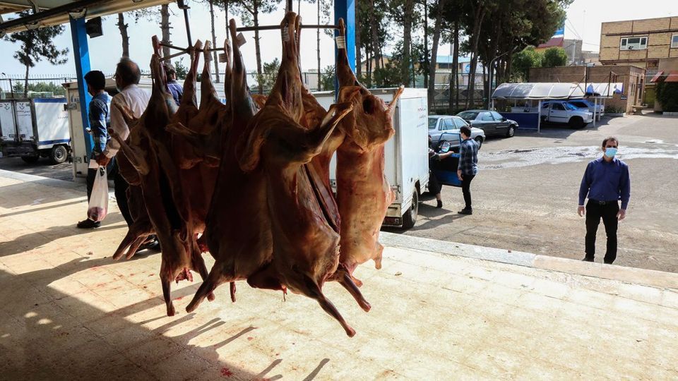 ذبح دام عید قربان در کشتارگاه صنعتی