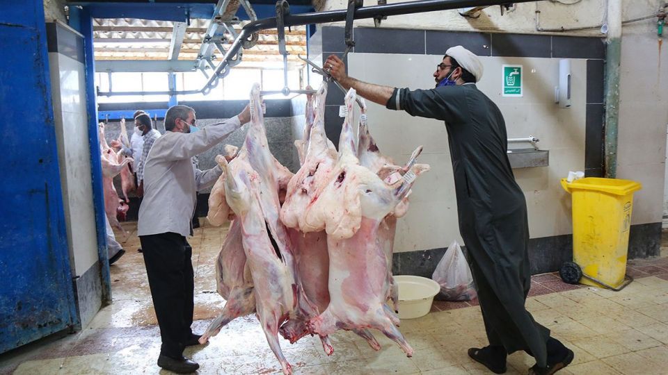ذبح دام عید قربان در کشتارگاه صنعتی