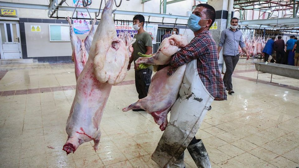 ذبح دام عید قربان در کشتارگاه صنعتی