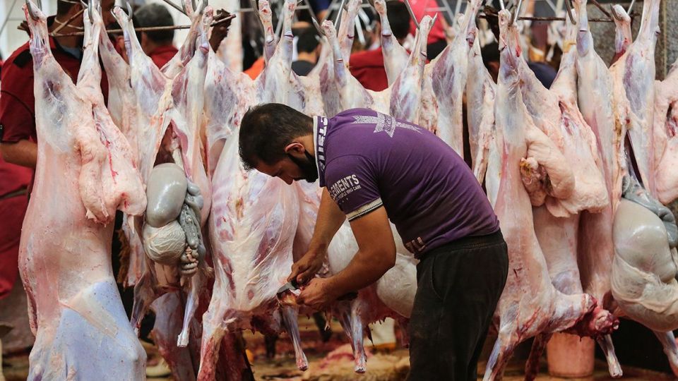 ذبح دام عید قربان در کشتارگاه صنعتی