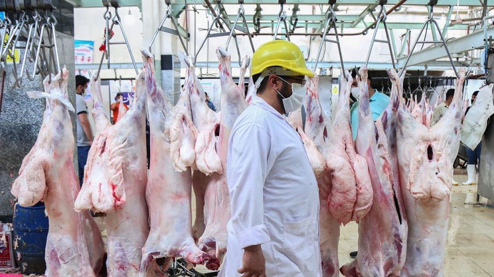 ذبح دام عید قربان در کشتارگاه صنعتی