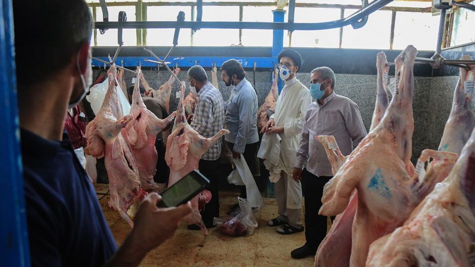 ذبح دام عید قربان در کشتارگاه صنعتی