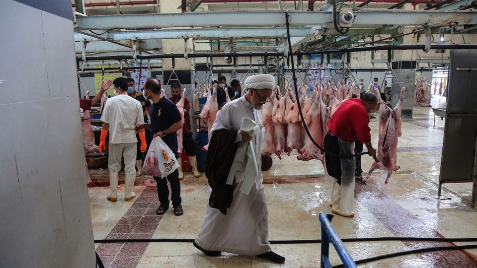 ذبح دام عید قربان در کشتارگاه صنعتی
