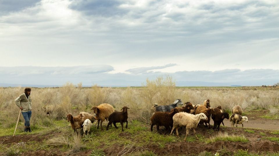 طبیعت زیبای نیشابور
