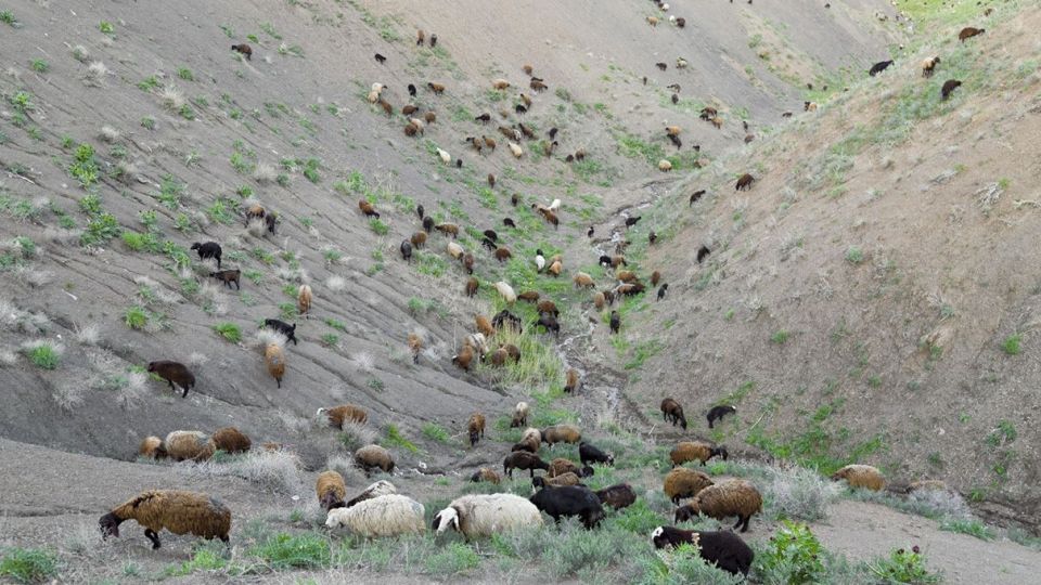 طبیعت زیبای نیشابور