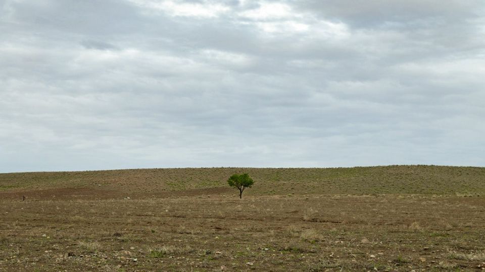طبیعت زیبای نیشابور