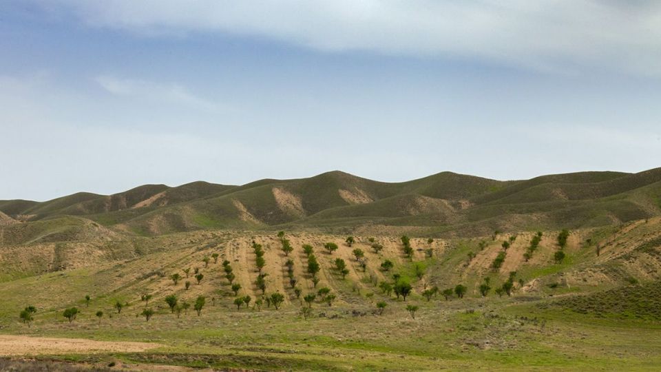 طبیعت زیبای نیشابور