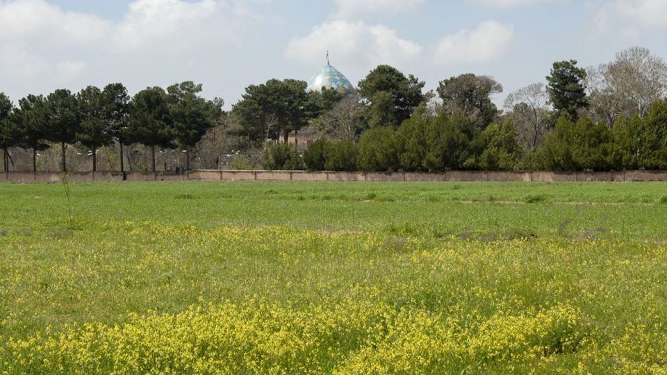 طبیعت زیبای نیشابور