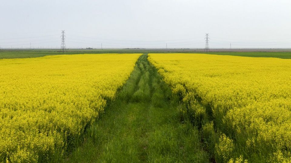 طبیعت زیبای نیشابور