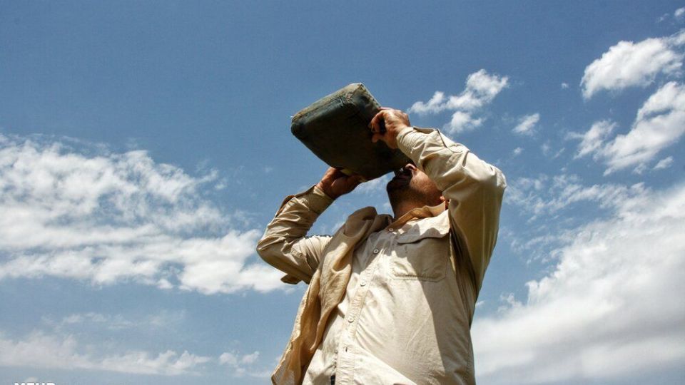 برداشت گندم