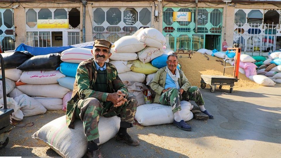 بنگاه شبانه روزی علّافان