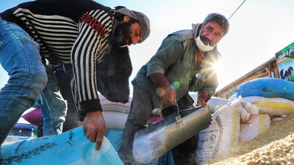 بنگاه شبانه روزی علّافان