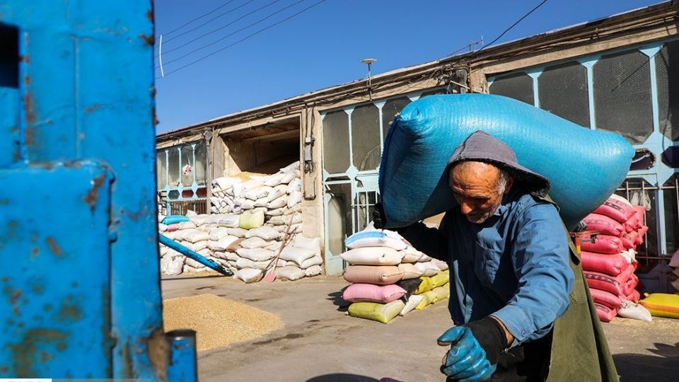 بنگاه شبانه روزی علّافان