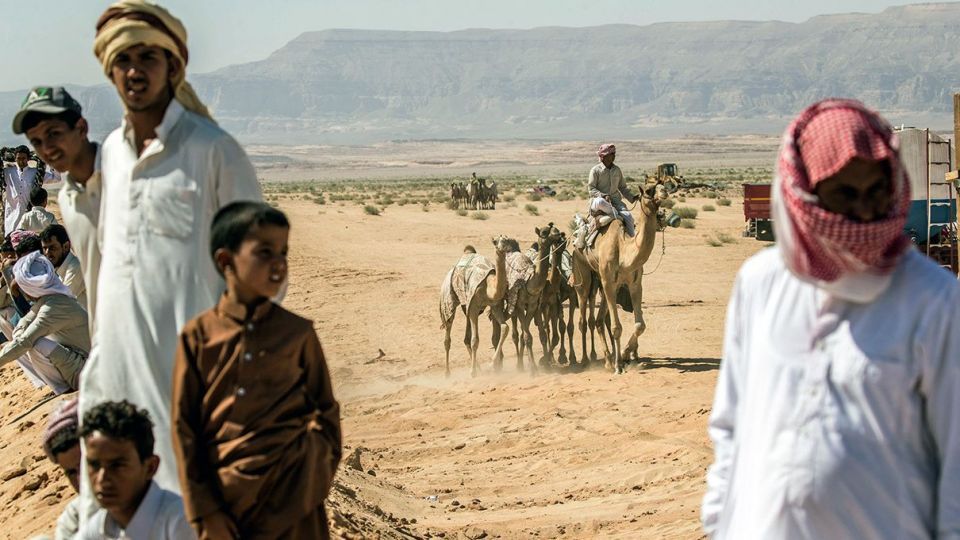 مسابقات شتردوانی در مصر