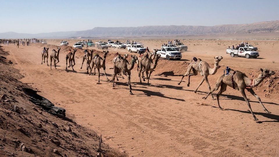 مسابقات شتردوانی در مصر