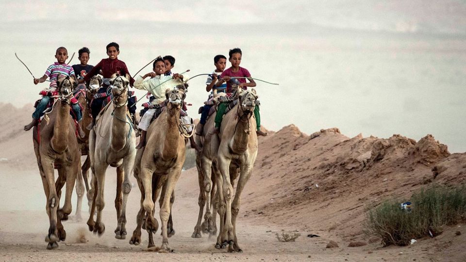 مسابقات شتردوانی در مصر