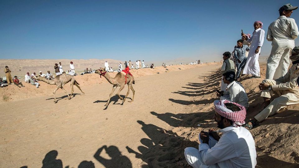 مسابقات شتردوانی در مصر