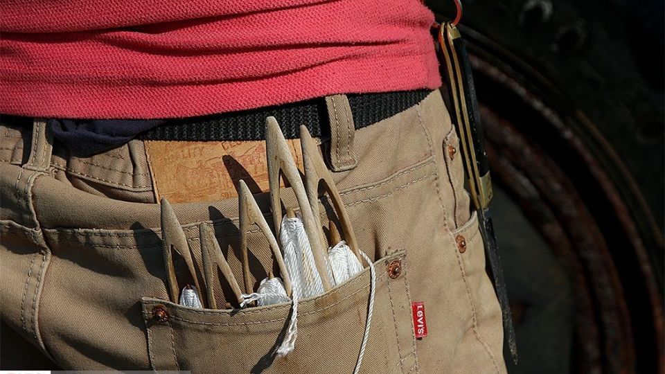 چينيك و چينيك چي