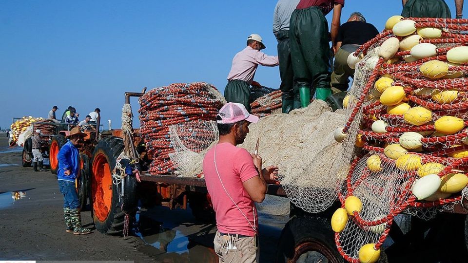 چينيك و چينيك چي