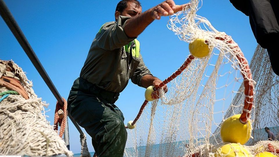 چينيك و چينيك چي