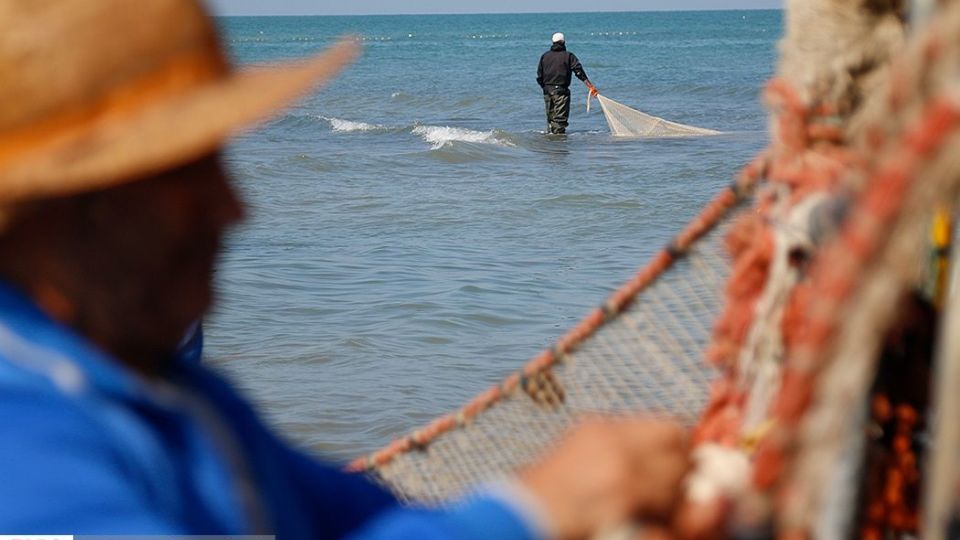 چينيك و چينيك چي